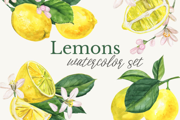 Download Watercolor Lemon Clipart - Premium Bundle